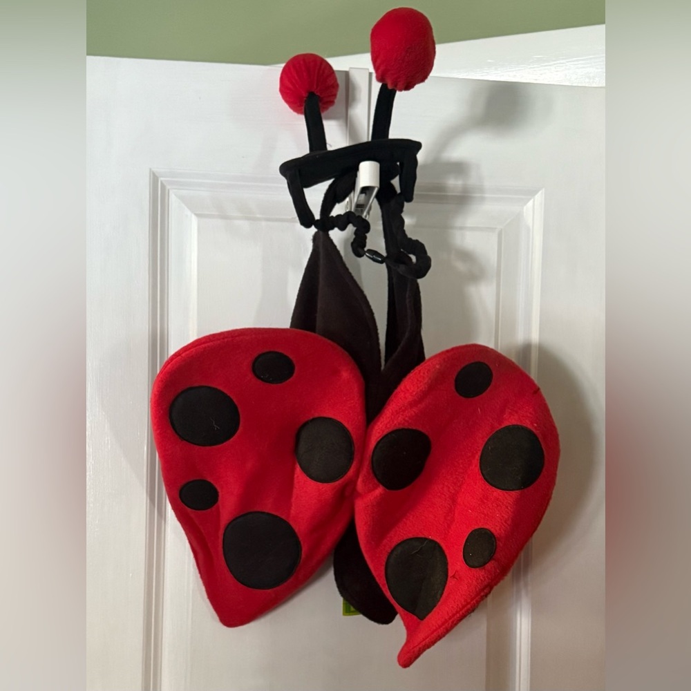 Ladybug Costume Wings and Headband Set